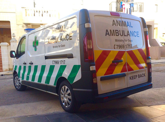 Animal Ambulance