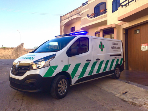 Animal Ambulance