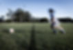 0B8A6237.jpg