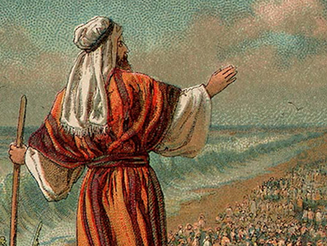 The Moses Experience