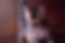 278184656_658513515423370_56207615513831447_n_edited.jpg