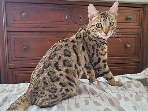 WhatsApp Image 2023-08-16 at 15.05.21.jpeg