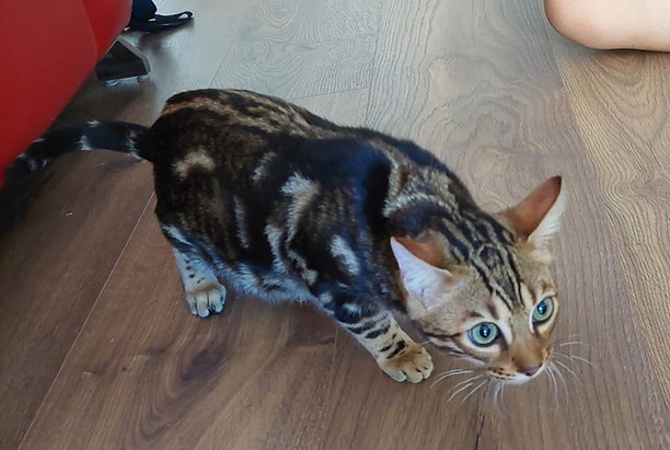 WhatsApp Image 2023-08-01 at 18.45.26.jpeg