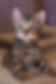 177988146_517141359632037_3106839730763184852_n.jpg
