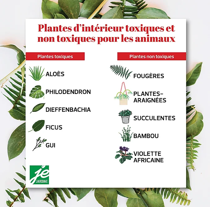 Les Plantes Toxiques Authentic Bengal