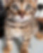 IMGL6763 2_edited_edited.jpg