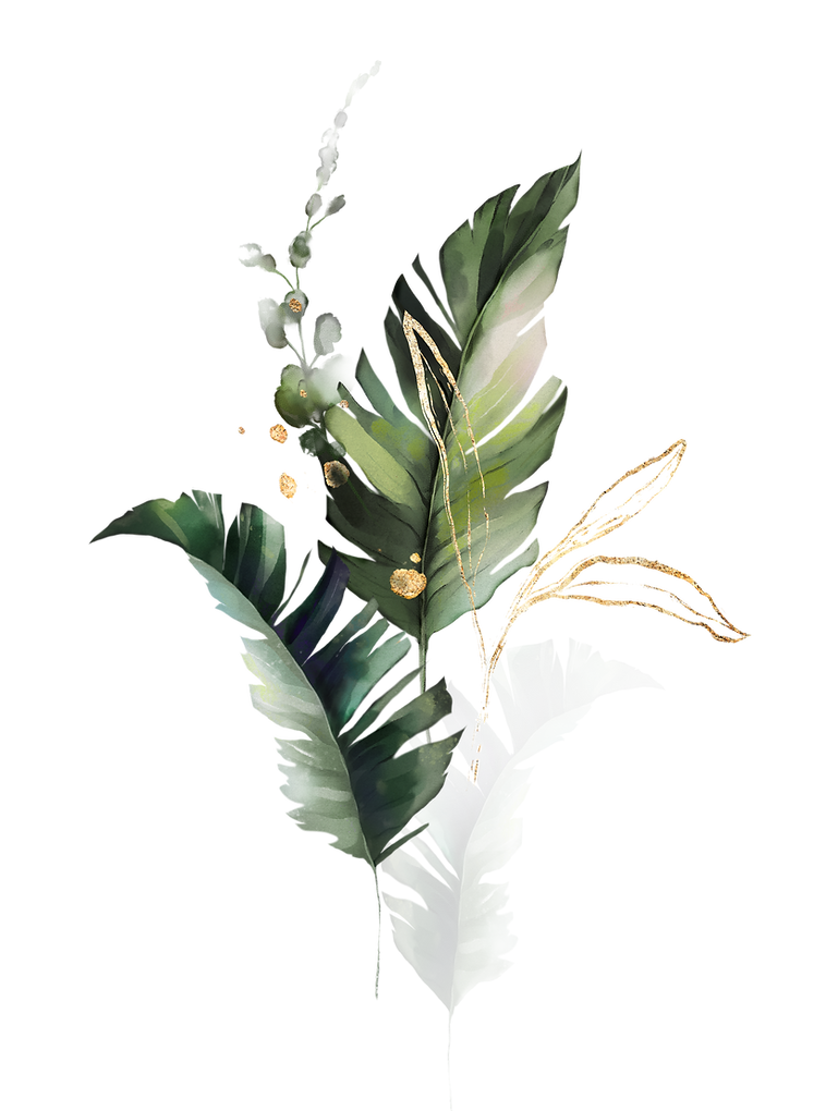 Chat bengal Nice Villeneuve-loubet Antibes Cannes monaco Chatterie familiale Alpes-Maritimes chaton snow brown Marseille paris elevage