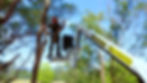 Tree Trimming Cherry Picker