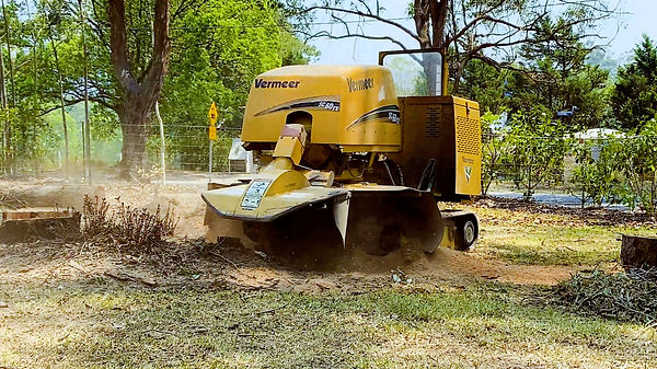 Big River Trees Stump Grinding
