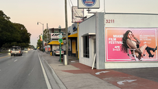 Miami Film Festival + City Media: 6 Years of Big Screens, Big Street Buzz