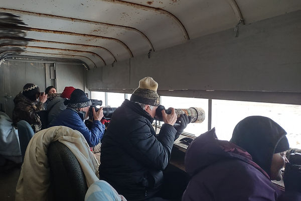 Tour Pricing Prairie Wind Birding Tours Kearney NE tour-pricing-prairie-wind-birding-tours-kearney-ne