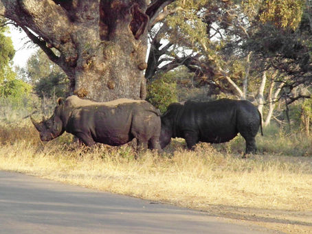 Z Johanesburku do Kapského města (fotogalerie)