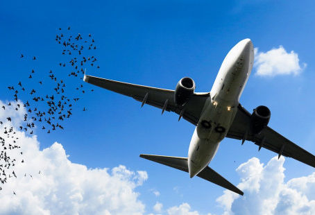 Zpožděný let? Nepřišly Vám zavazadla?