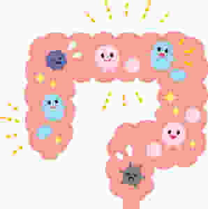 Colon bacteria