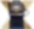 SYLFIRM-X RF +