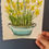 Thumbnail: Original Watercolour Mini Floral painting - Daffodils in a planter