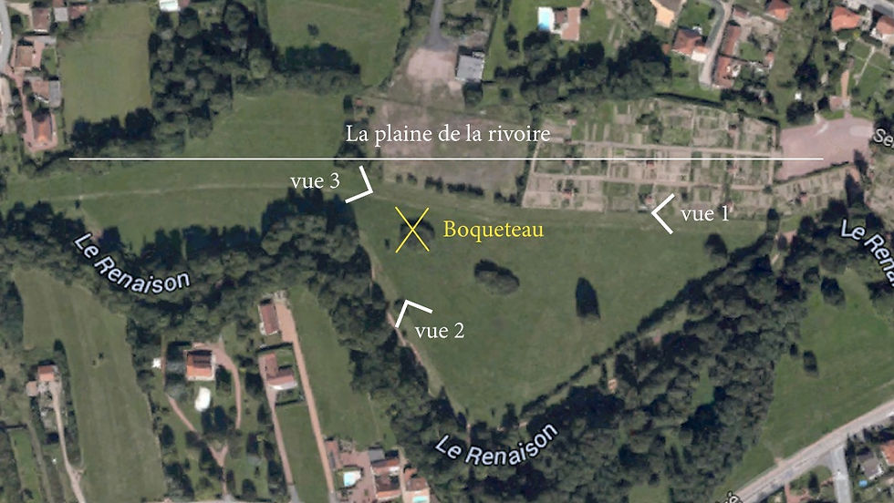 Arbres à jouets, Riorges