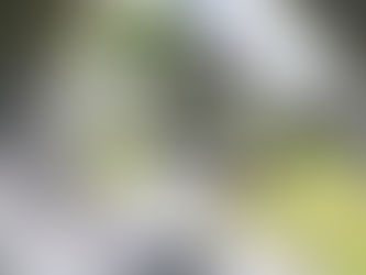 CBD and Cancer: Things You Should Know