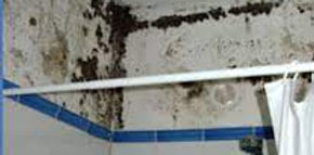 moisissure-salle-bain-probleme-de-fenetre-ou-problème-de-vmc(1).jpg