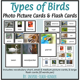Cover Types of Birds Picture Cards.png