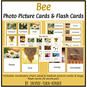 Cover for Bee Picture Cards (1).png