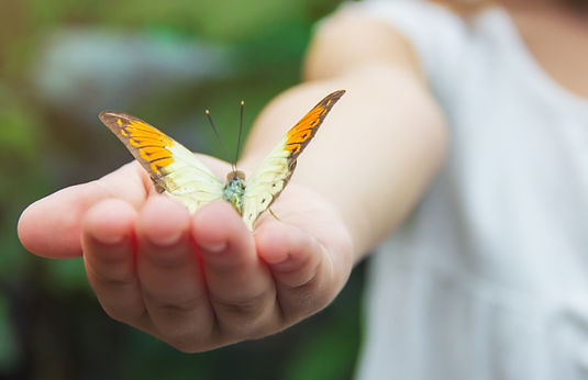 Child with a butterfly. Selective focus..jpg