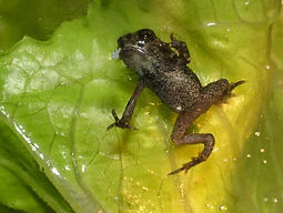 DSCF2423_edited.jpg