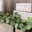 Miniatura: Umělý eucalyptus