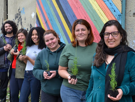 Pibid: programa educacional valoriza a formação de docentes