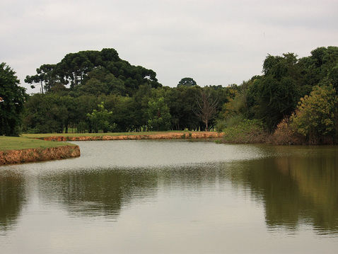 Programa sensibiliza crianças sobre cuidados com rios