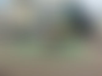 Calçadas verdes ainda geram dúvidas sobre seu uso