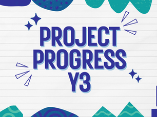 Progress and Achievements Y3
