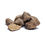 Thumbnail: Rough striped aragonite