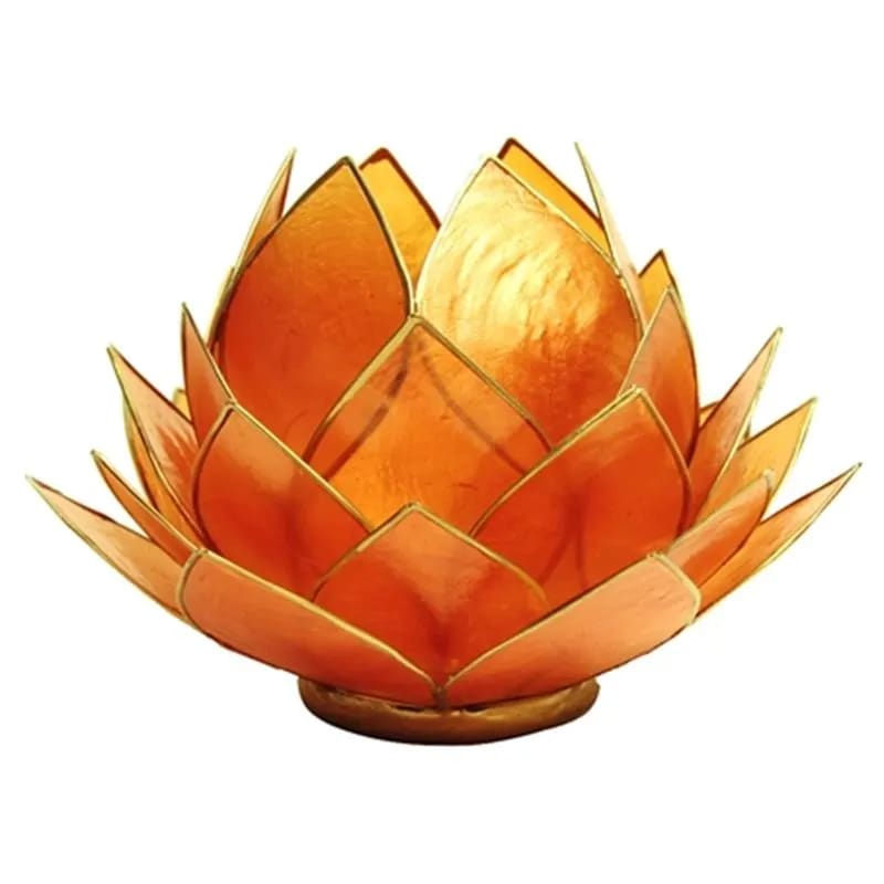 Lotus atmospheric light orange gold trim large