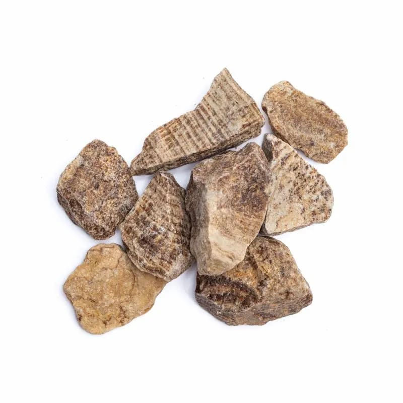 Rough striped aragonite