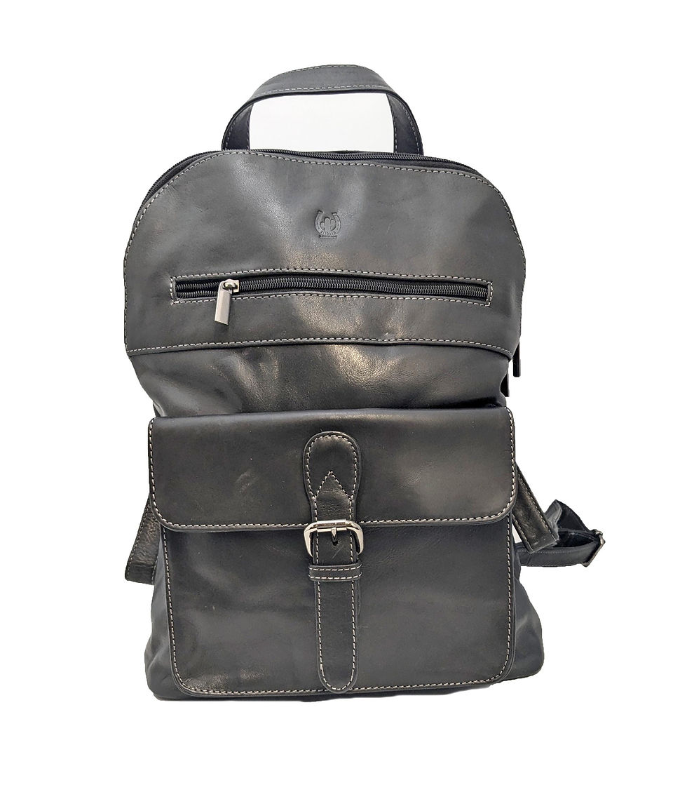 Thumbnail: Daily leather Backpack two styles available