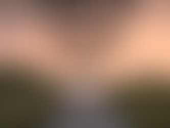 Taking The Narrow Path