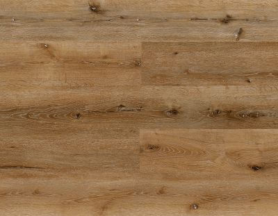 Sequoia