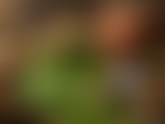 Neem Oil Soap: Ancient Ingredient for Problem Skin