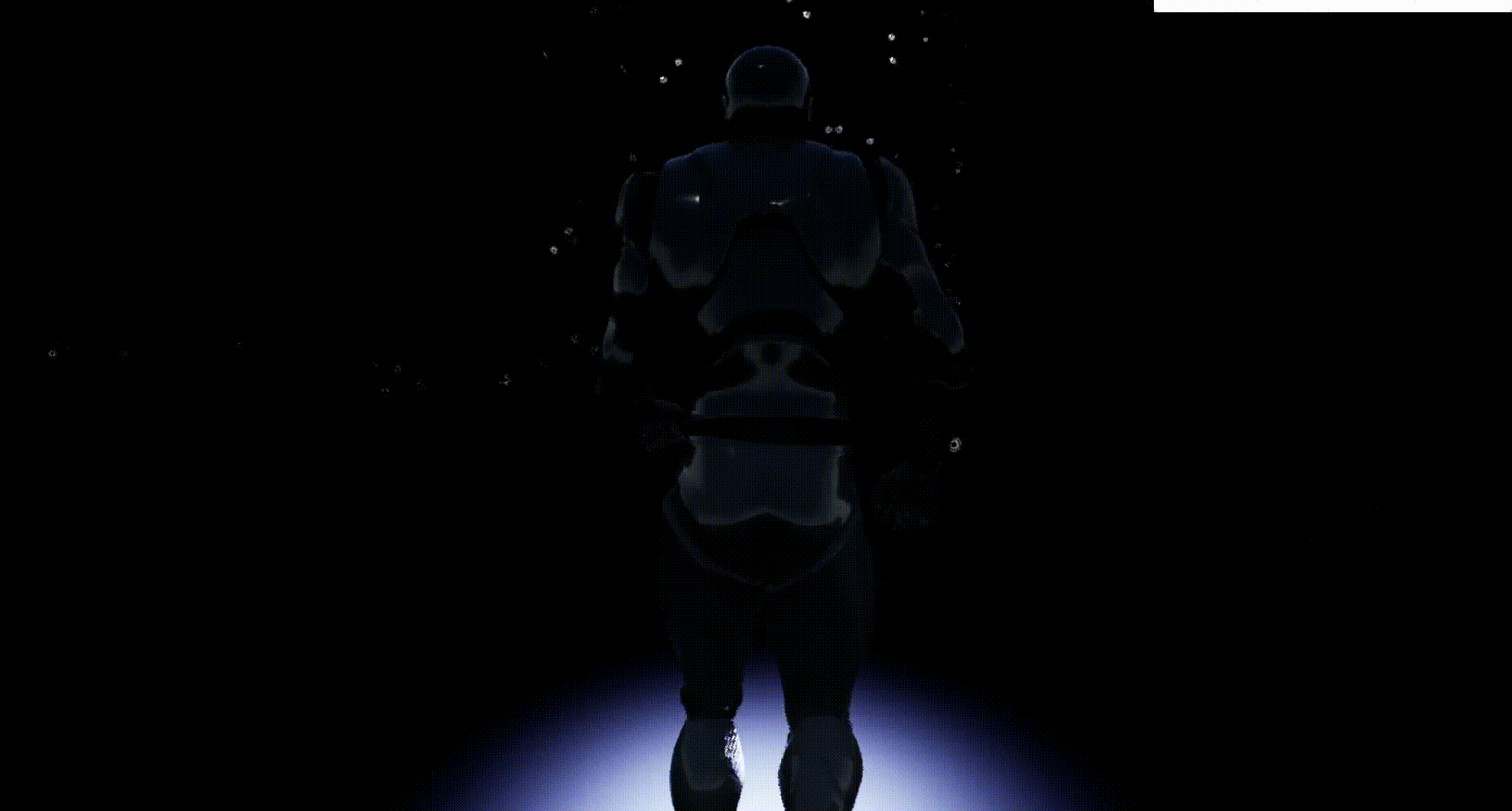 Echolocation gif.gif