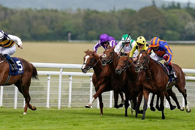 Christmas In July Sales 2022 Horse Breeze-Up Consignors Association | Sales