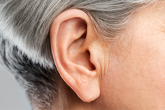 Ear_edited.png