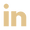 linkedin (1)