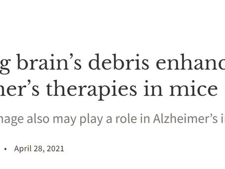 Draining brain’s debris enhances Alzheimer’s therapies in mice