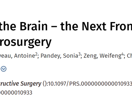 Rewiring the Brain – the Next Frontier in Supermicrosurgery