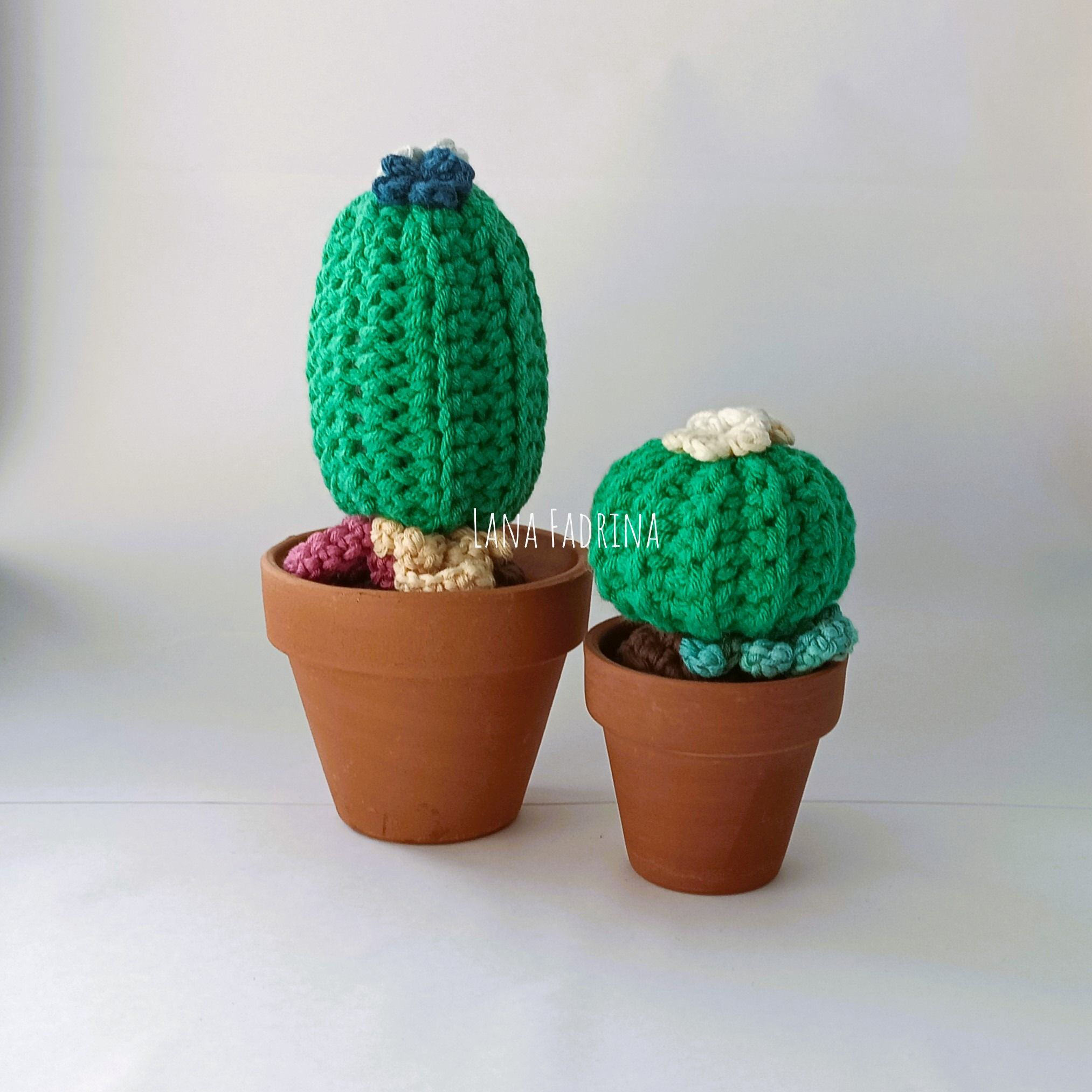 Maceta Cactus