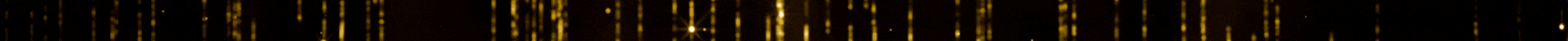 fixed Banner.gif