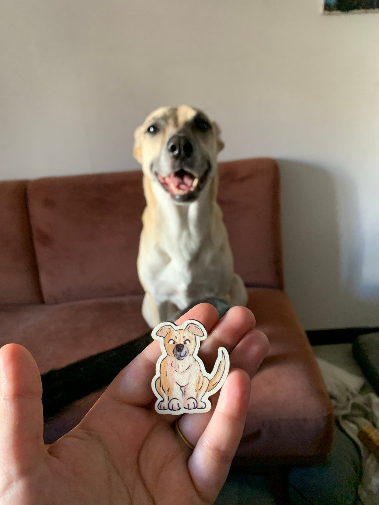 Pin's s'Ami 100% personnalisé