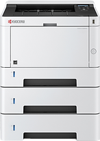11 (2).png