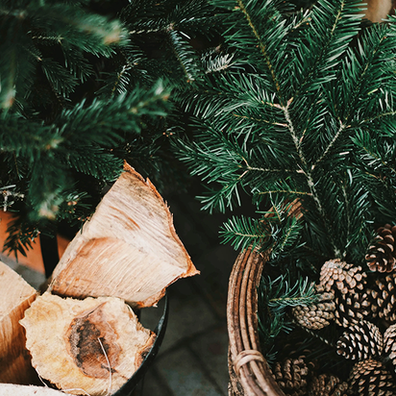 La célébration de Yule 2022